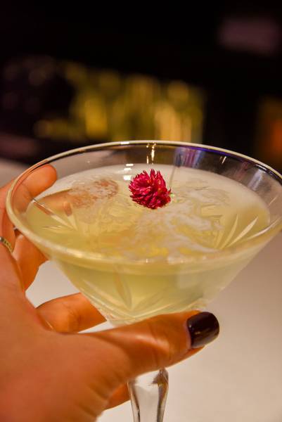 Nos Cocktails Signatures